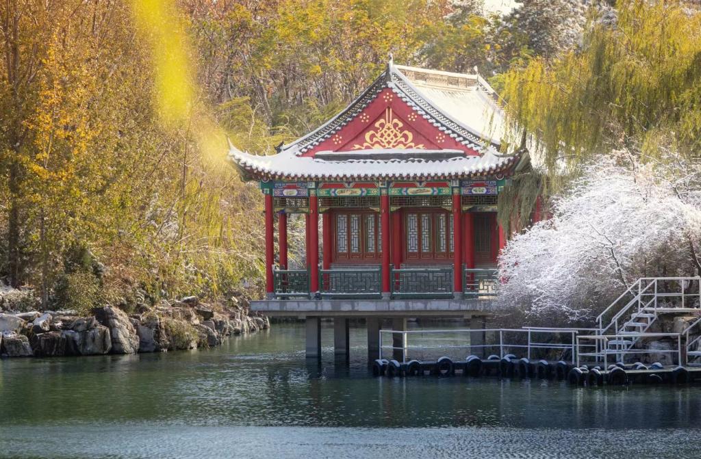 国产精品爽爽久久久久久竹菊