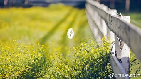 国产精品爽爽久久久久久竹菊