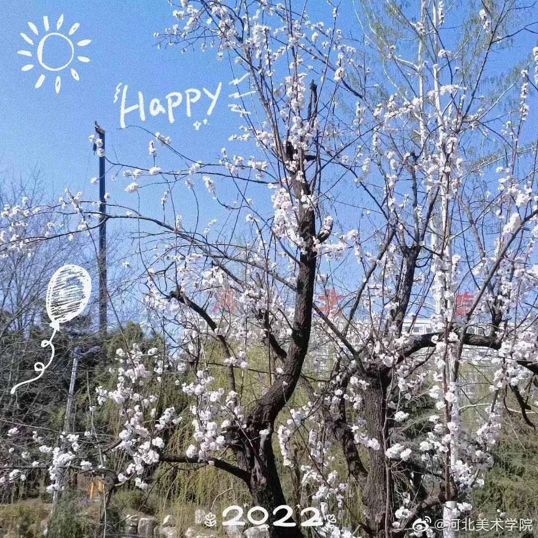 国产精品爽爽久久久久久竹菊