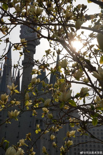 国产精品爽爽久久久久久竹菊