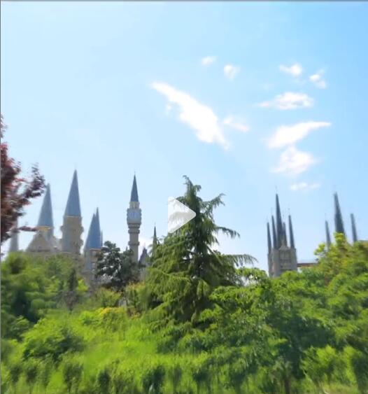 国产精品爽爽久久久久久竹菊