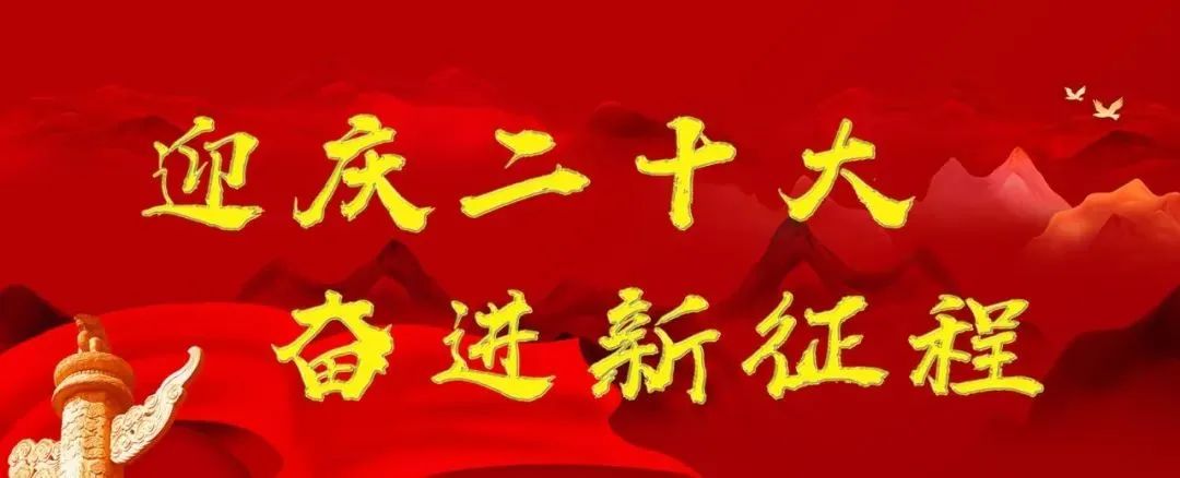 国产精品爽爽久久久久久竹菊