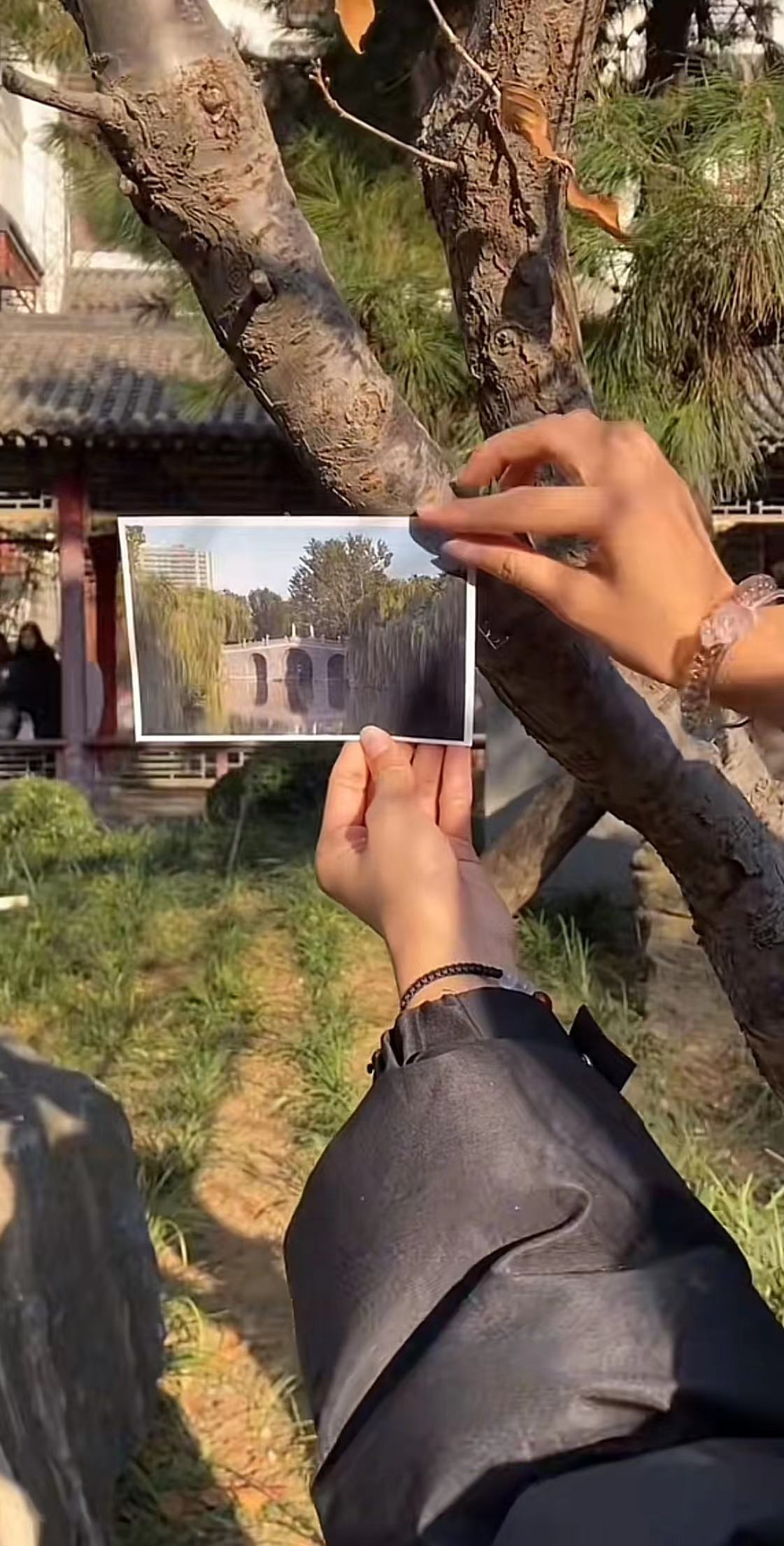 国产精品爽爽久久久久久竹菊