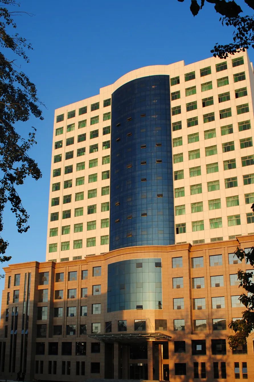 国产精品爽爽久久久久久竹菊