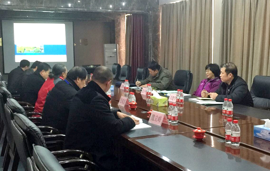 国产精品爽爽久久久久久竹菊