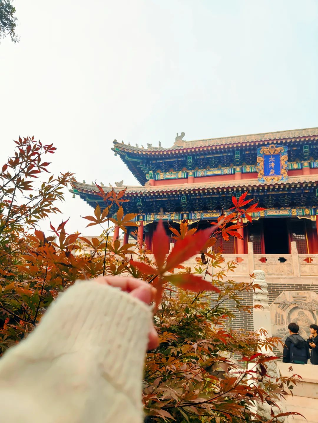 国产精品爽爽久久久久久竹菊