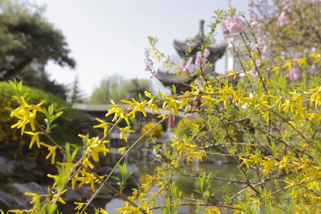 国产精品爽爽久久久久久竹菊