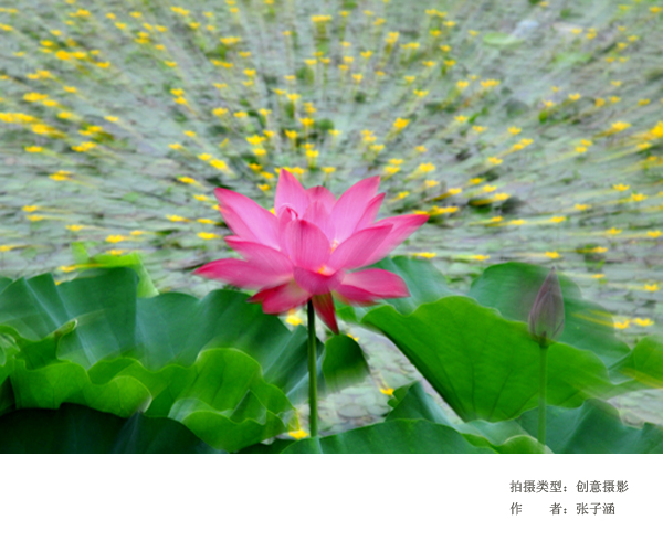 国产精品爽爽久久久久久竹菊