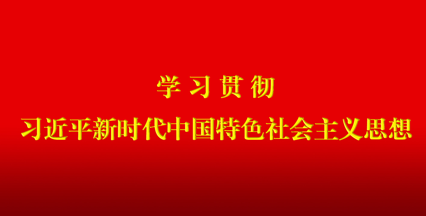 国产精品爽爽久久久久久竹菊