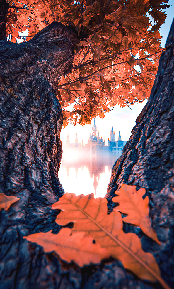 国产精品爽爽久久久久久竹菊