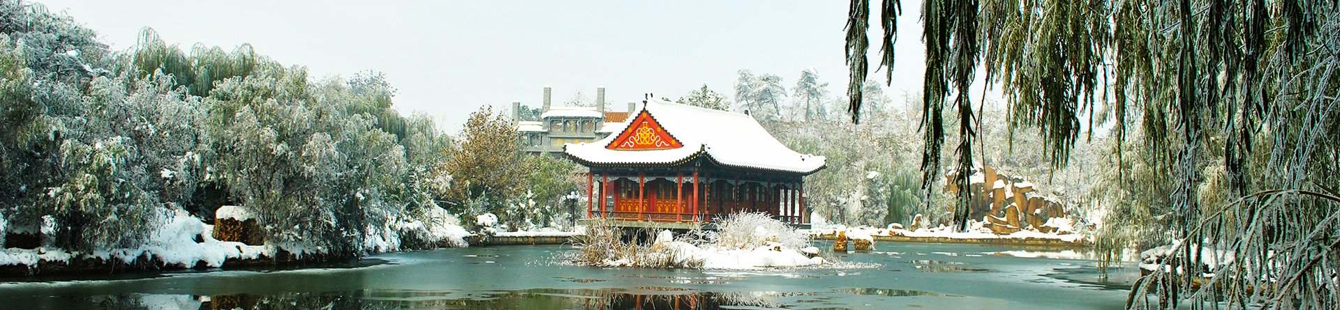 国产精品爽爽久久久久久竹菊