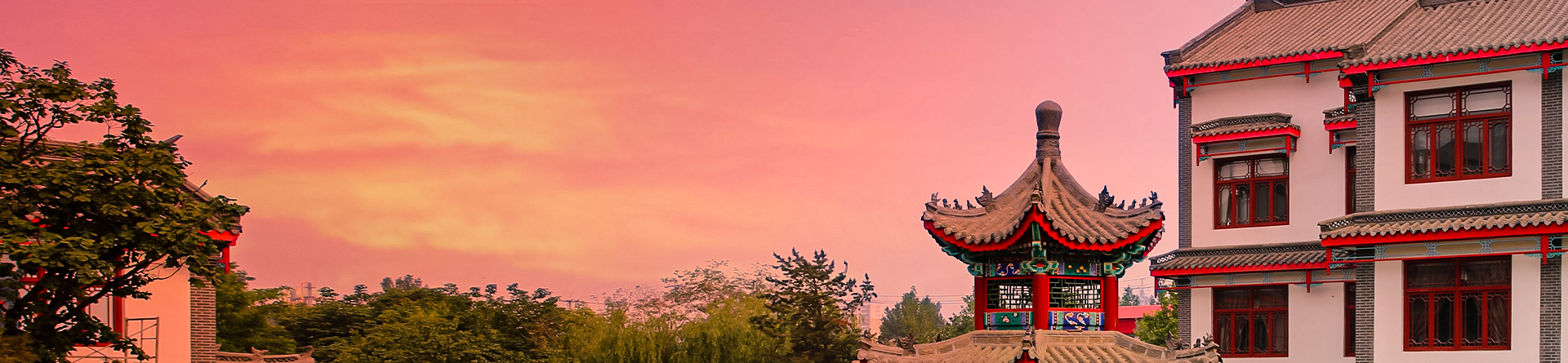 国产精品爽爽久久久久久竹菊